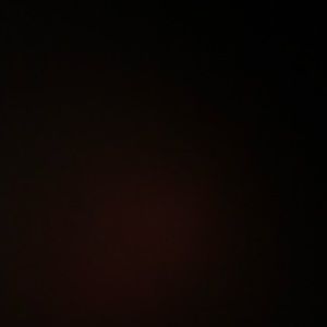 Meet your Posher, Riley